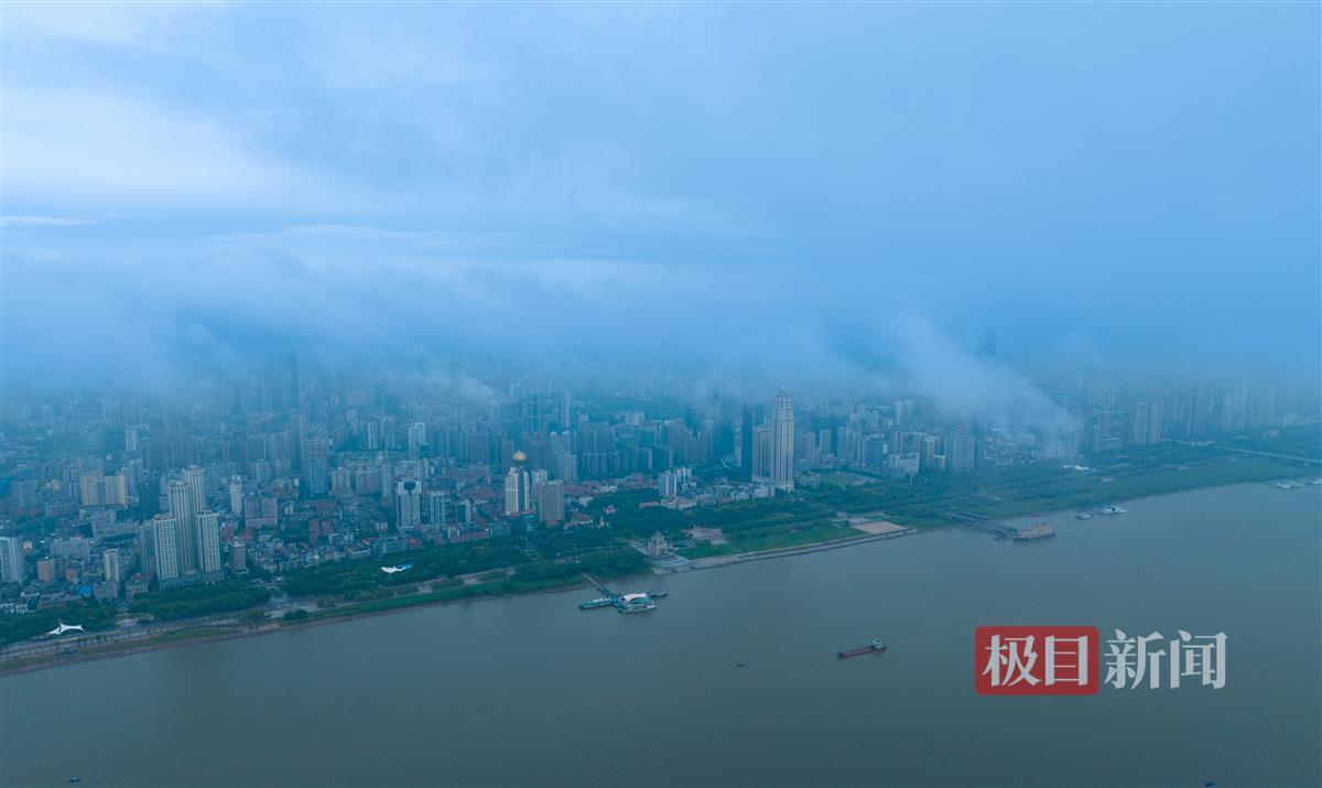 博瑞app下载
